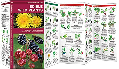 Edible Wild Plants - Laminated Guide