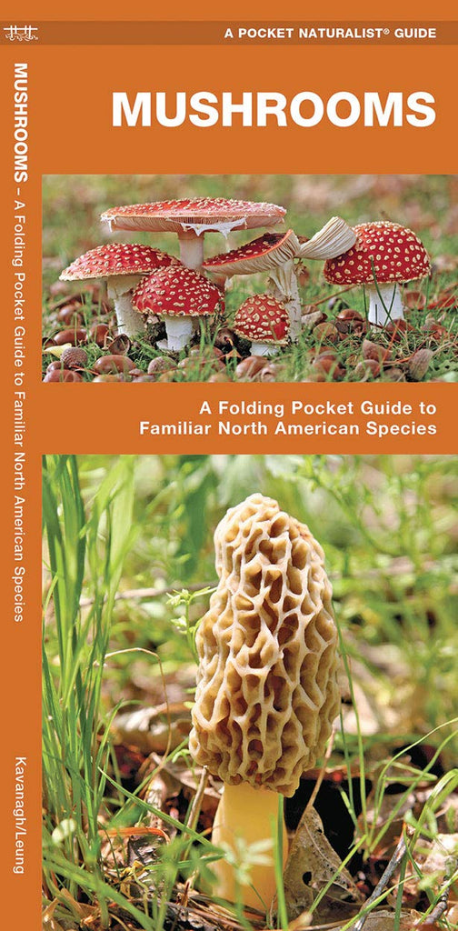 Mushrooms - Laminated Guide