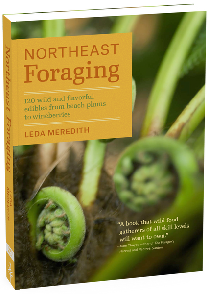 Northeast Foraging: 120 Wild and Flavorful Edibles from Beach Plums to Wineberries