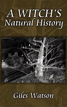 A Witch's Natural History