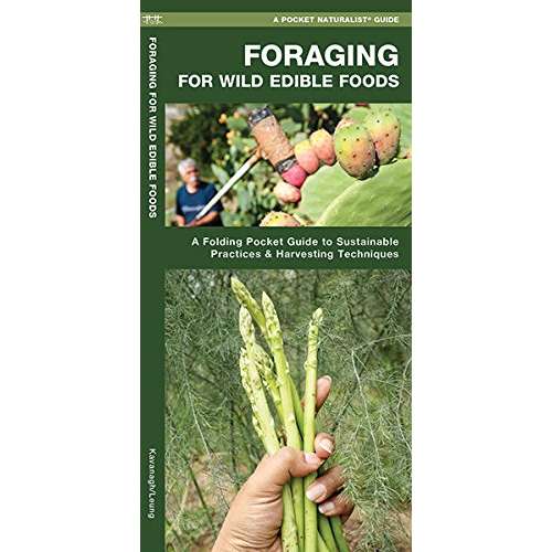 Foraging for Wild Edible Foods - Laminated Guide