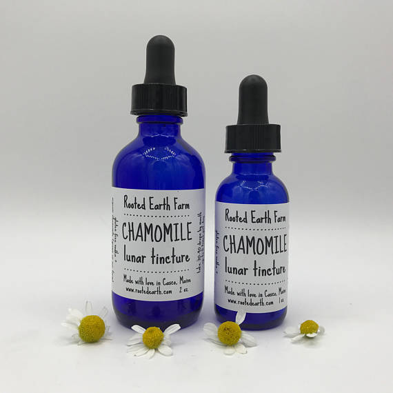 Organic Chamomile Tincture