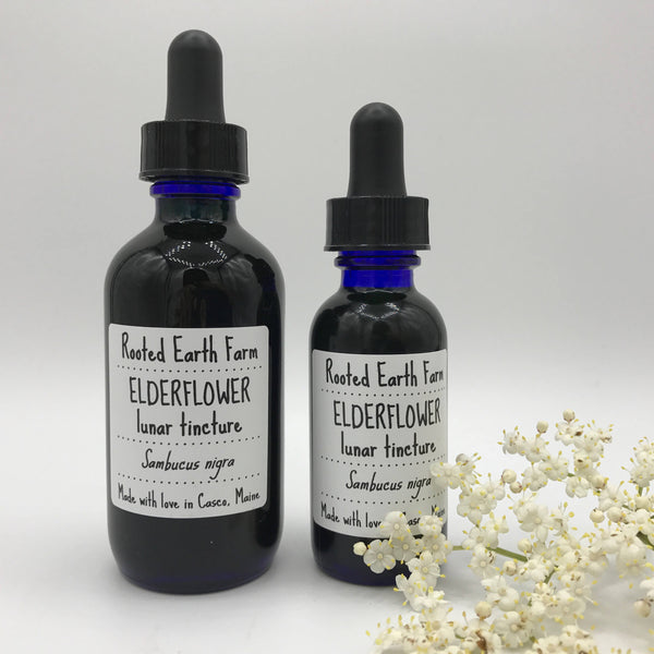 Organic Elderflower Tincture