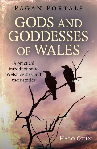 Pagan Portals - Gods and Goddesses of Wales