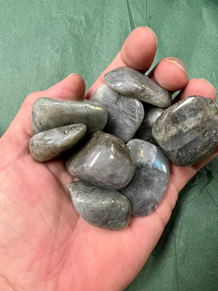 Large Tumbled Labradorite - Limited Quantity