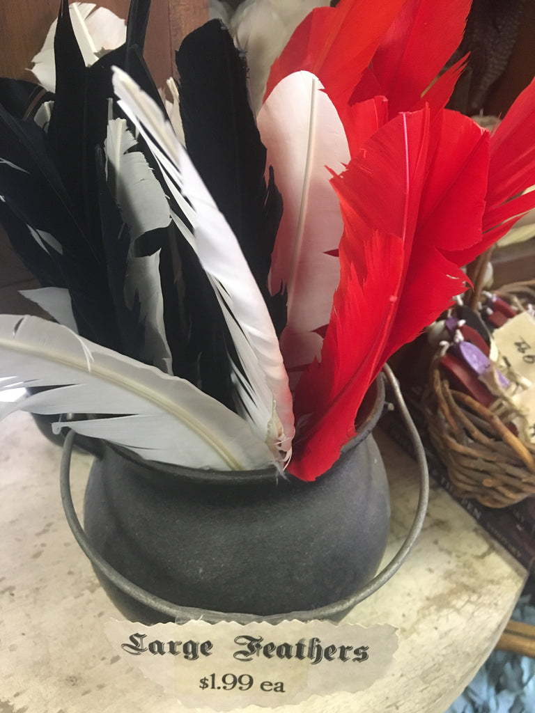 Large Turkey Feather Quill