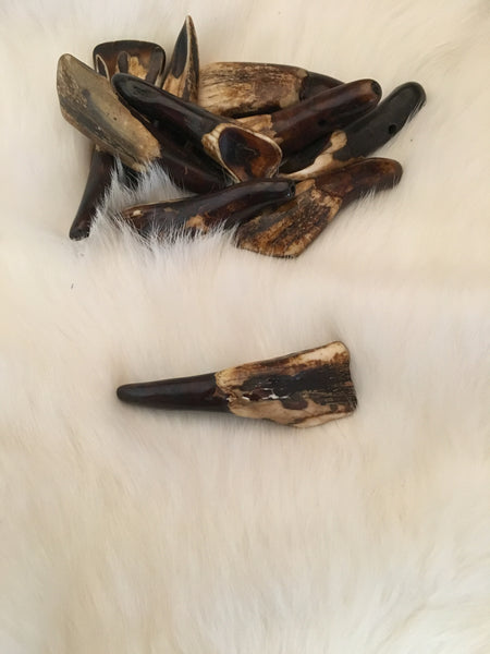 Buffalo Tooth (Antiqued)
