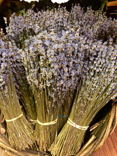 Lavender - Large Bundle