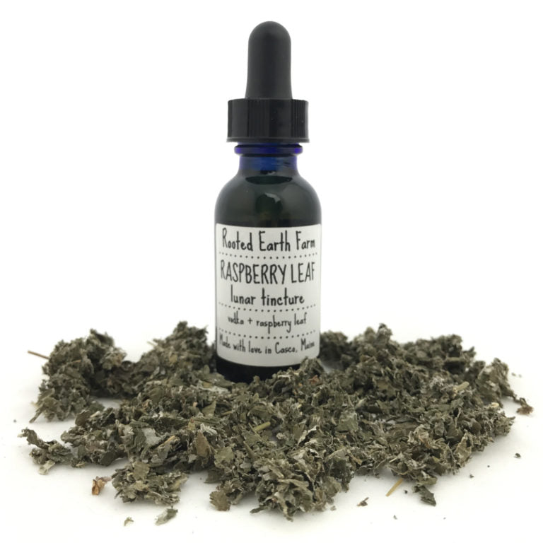 Organic Raspberry Leaf Tincture